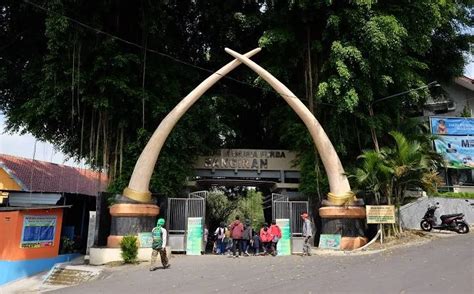 Liburan Yuk Wisata Ke Museum Purba Sangiran Sragen Espos Id Espos