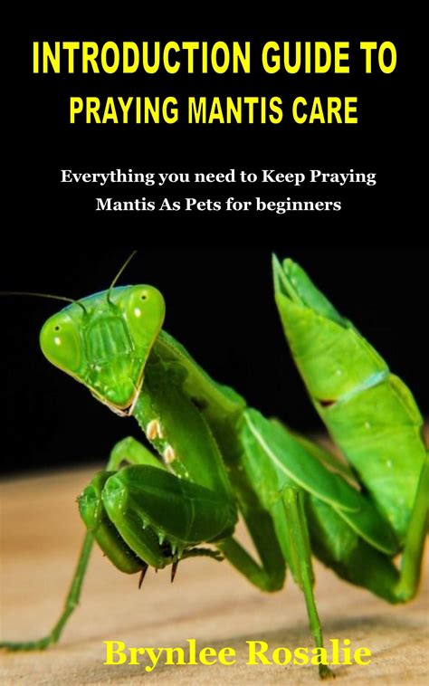 Buy INTRODUCTION GUIDE TO PRAYING MANTIS CARE Everything You Need To