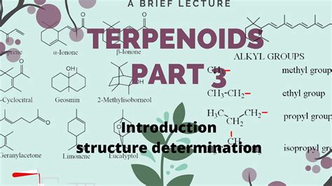 Natural Product Terpenoids Part Terpenoids Introduction Structure