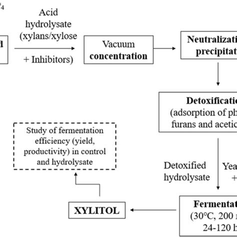 An Overview Of Methodology Used To Obtain Xylose From Acid Hydrolyzed