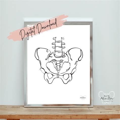 Pelvic Bones Art Digital Download Abstract Pelvis Line Art Pelvic