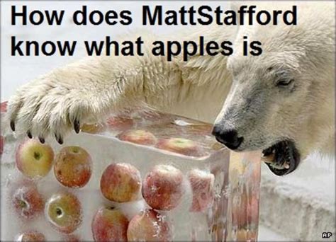 Mattstafford Apples Bear Apples Bear Know Your Meme