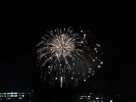 花火の音の初体験に、ビビる柴犬「ひのき」 ほわほわ♪ ～ワクワク・幸せを今ここで～