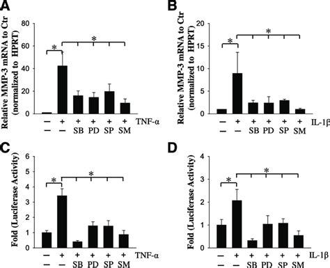 Mapk And Nf Kb Regulation Of Mmp Expression In Rat Np Cells Real Time