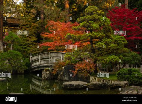 Japanese Garden at Manito Park Stock Photo - Alamy