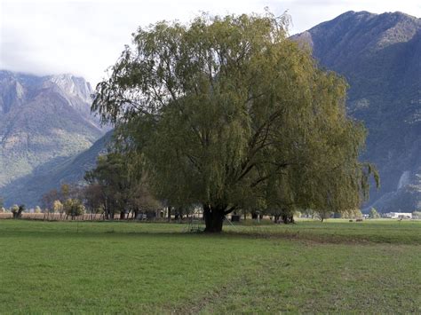 Riserva Naturale Pian Di Spagna Una Giornata Stupenda Imme Flickr