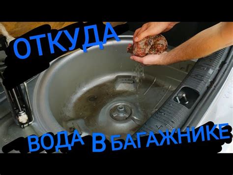 Тигуан 2 Багажник