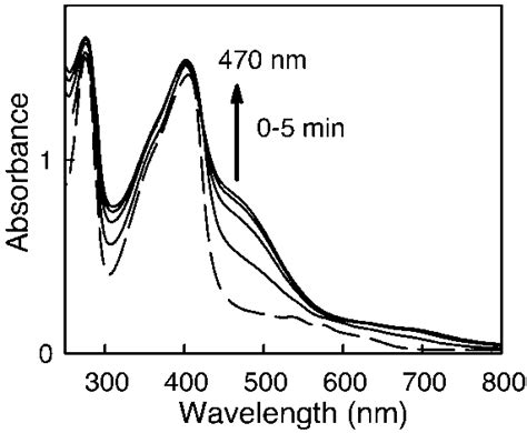 Peroxidation Of Guaiacol By The G L Heme Complex And H O