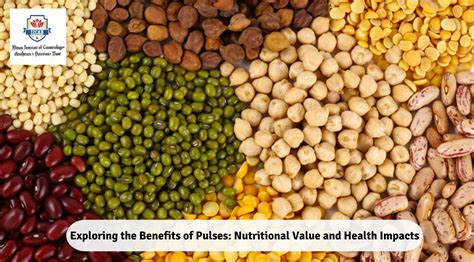 The Plusses And Pluses A Comprehensive Look At The Benefits And Advantages