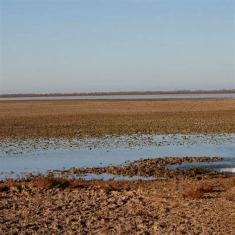 SEO BirdLife y Ecologistas piden la declaración urgente de las lagunas