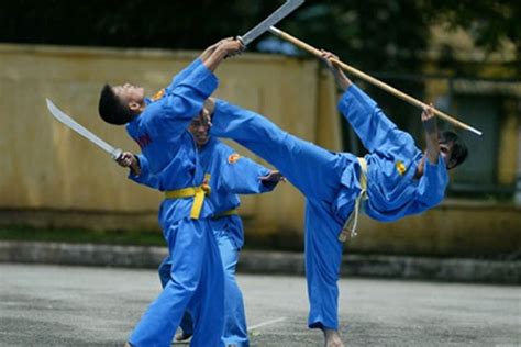 Vovinam Gains Growing Following Across Africa