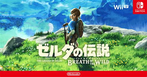 dlc nintendo switch wii