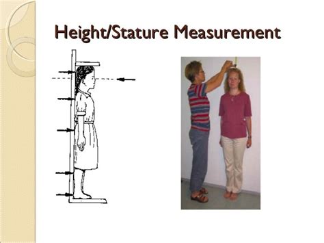 Basic anthropometry ppt.