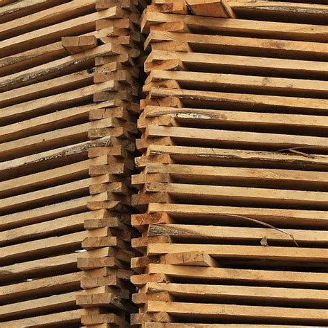 Stacked Wood Pile | Wood pile, Wood, Pile