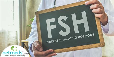 Follicle Stimulating Hormone Fsh Structure Crucial Functions And