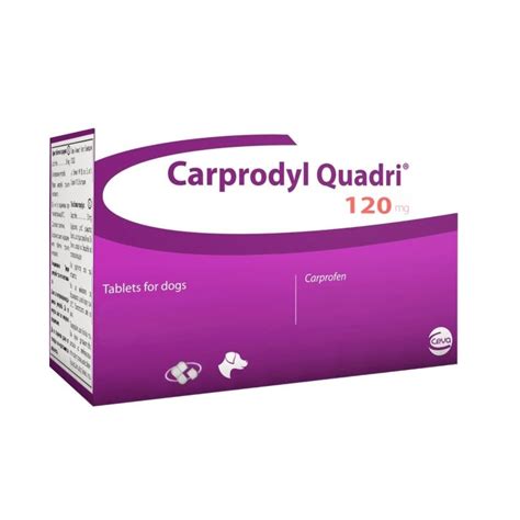 Carprodyl Quadri 120mg 120 Tablets