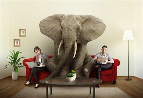 Its Time To Talk About The Elephant In The Room Georgia Murch