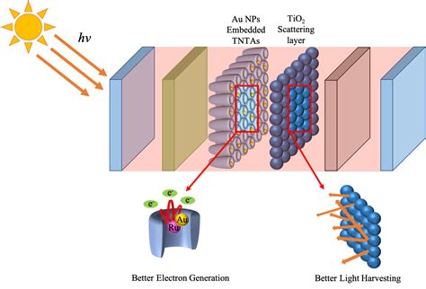 Nanomaterials Free Full Text Effect Of Au Nanoparticles And