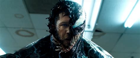 Venom And Eddie Wallpaper