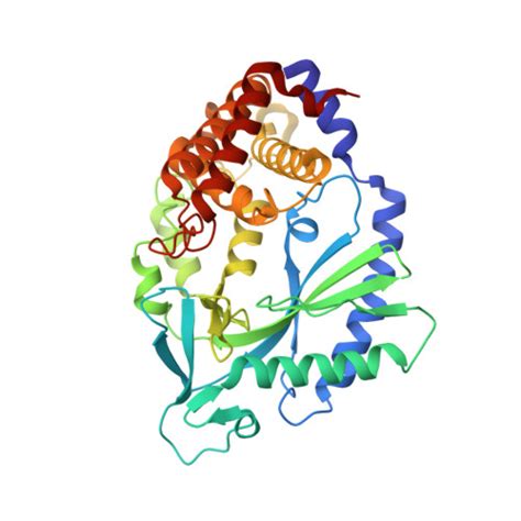 Rcsb Pdb Ftr Crystal Structure Of Human Cyclic Gmp Synthase In