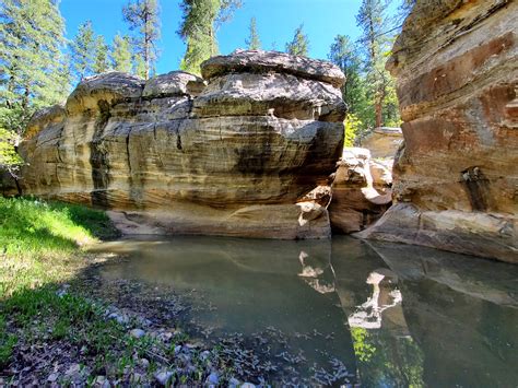 Shady Pool James Canyon Arizona