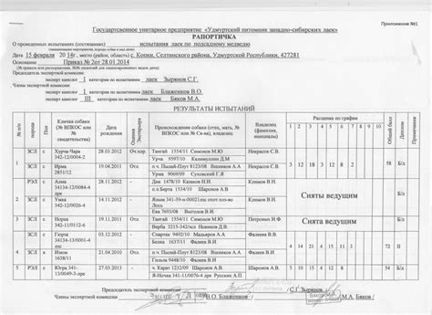 Рапортички для детского сада - Zefirka.club фото и картинки