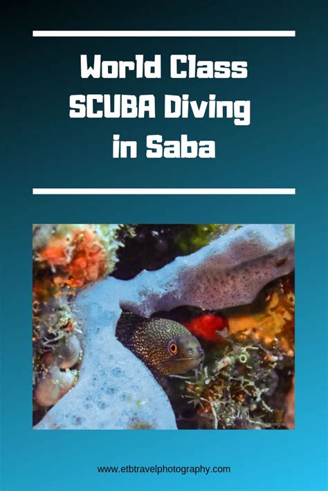 SCUBA Diving in Saba | Scuba diving, Saba, Diving