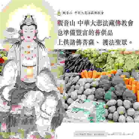 慈悲 龍德上師開示：佛弟子應學 觀世音發菩提心、大作佛事｜方格子 Vocus