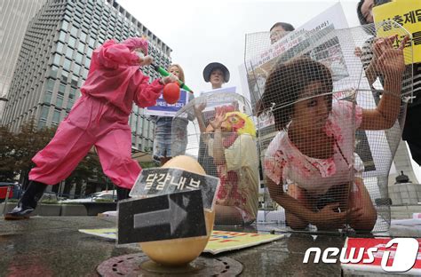 살충제 달걀 퍼포먼스 네이트 뉴스