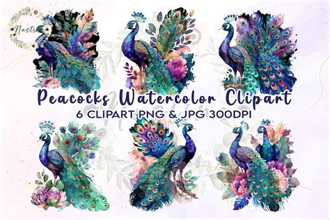 Peacocks Watercolor Clipart Graphic By Nastine Creative Fabrica