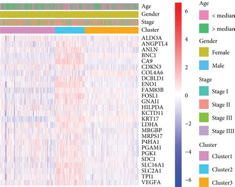 The Consensus Clustering Analysis Of Bc Samples Based On The Mrna