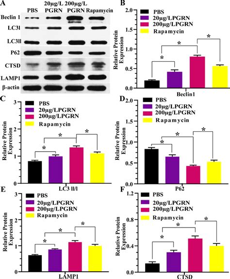 Pgrn Protects Lysosomal Function To Enhance Microglial Autophagic Flux