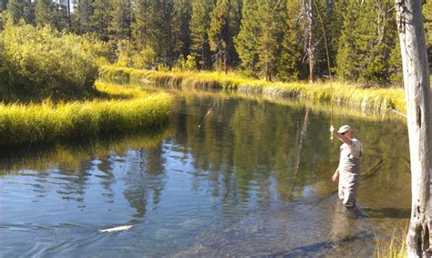 Fly Fishing Central Oregon Rivers – The Hook Fly Shop_Home of Cascade ...