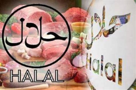 Rantai Pasok Pertanian Terintegrasi Dorong Produk Halal Unggulan