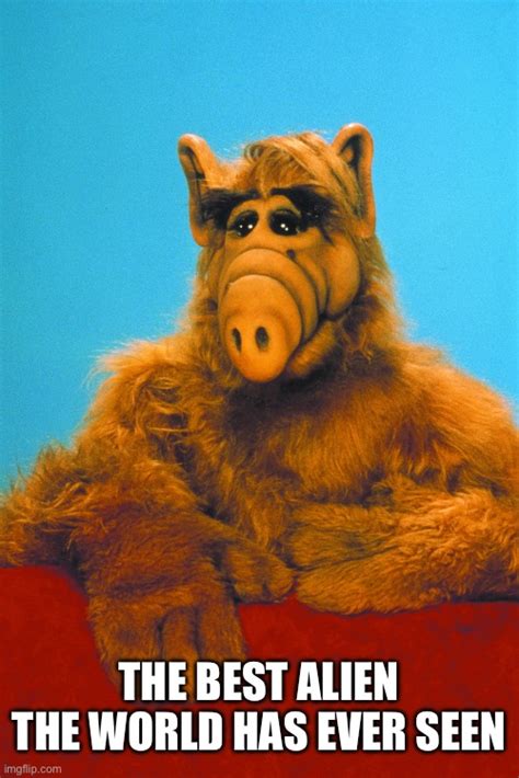 Alf Imgflip