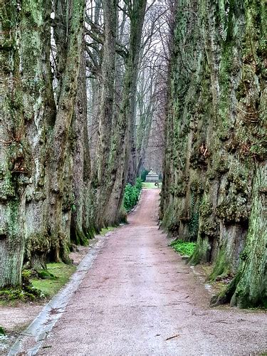 Allee Urlaub Mit Kathrin Kappeln Friedhof Bernd Carstensen Flickr