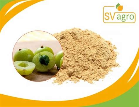 Indian Amalaki Amla Extract Powder At Rs Kilogram Amla Extract