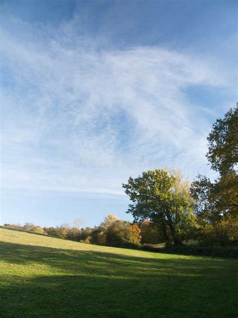 Autumn Blue Sky Line Trees Green Nature Outside Landscape Stock Photo