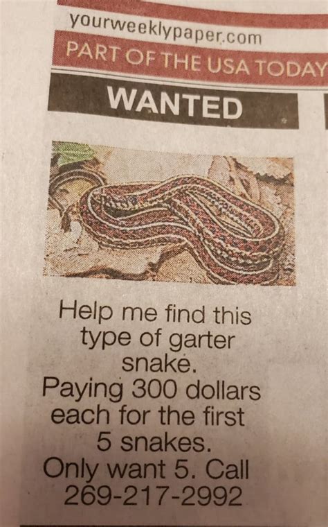 This Ad Keeps Running In My Small Town Iowa Newspaper Classifieds The Phone Number Is For A