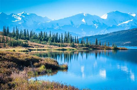 Denali National Park And Wonder Lake With Mountain Background Alaska