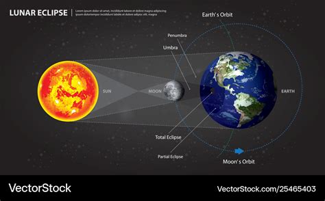 Lunar eclipses sun earth and moon Royalty Free Vector Image