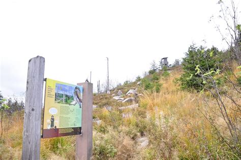 Nationalpark Schwarzwald Magazin Westweg Wandern Infotafel Hochmoor