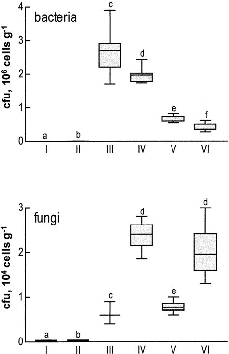 Colony Forming Units Cfu Of Bacteria And Fungi In Soil Samples Along