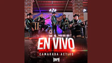 El Chavalon En Vivo Youtube Music