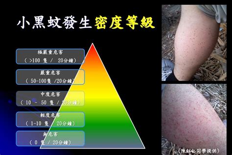 Ppt 小黑蚊之發生、生態習性與環境 行政院環保署 小黑蚊防治推廣中心 Powerpoint Presentation Id3280057