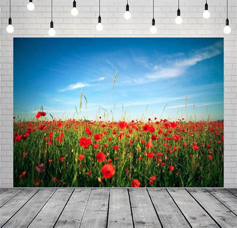 Beleco X Ft Fabric Red Poppy Field Backdrop For Photography Blooming