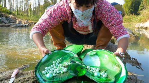 The Mutated Green Giant Clam Which Has Lived For Decades Surprisingly