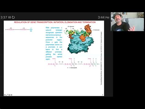 Mastering RNA Synthesis in Bacteria: A Comprehensive Guide