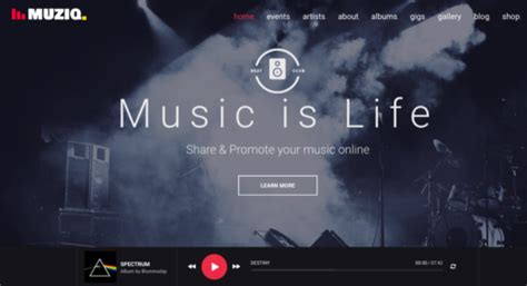 Best Wordpress Themes For Bands Musicians Laptrinhx