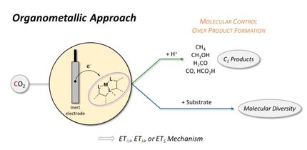 Transition Metal Complexes As Catalysts For The Electroconversion Of